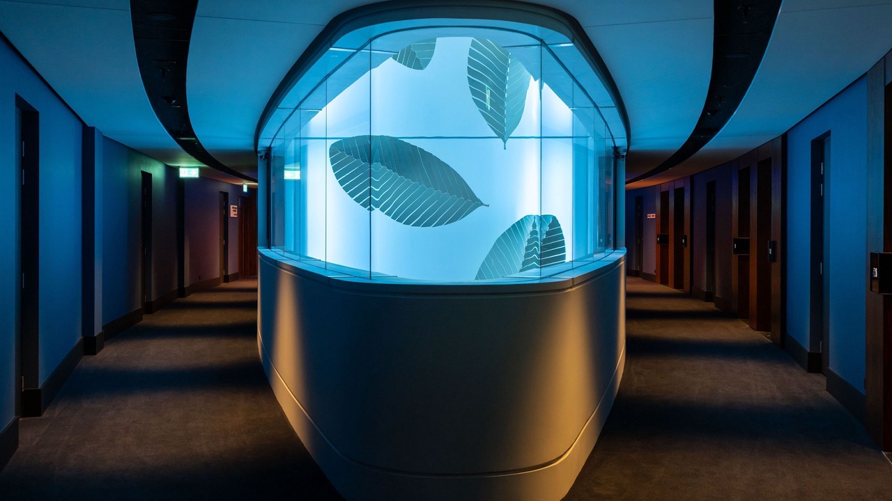 Photo of Others in Auckland Central Business District