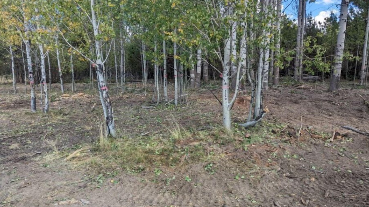 Photo of Outdoor in Klamath County