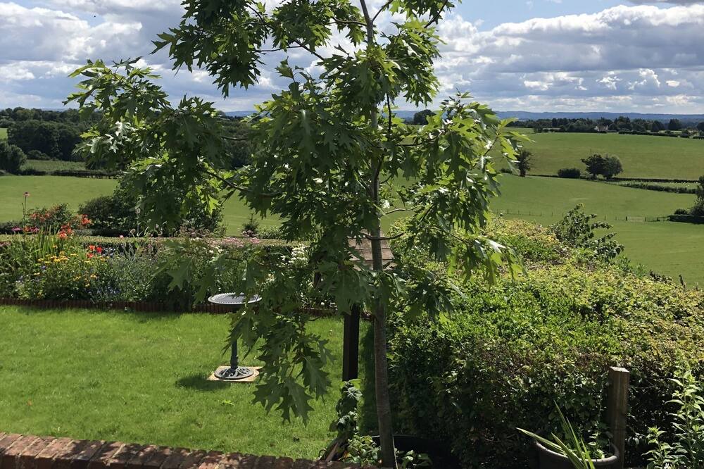 Photo of Others in Newent