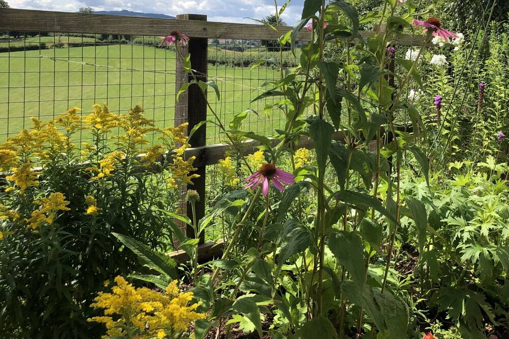 Photo of Others in Newent