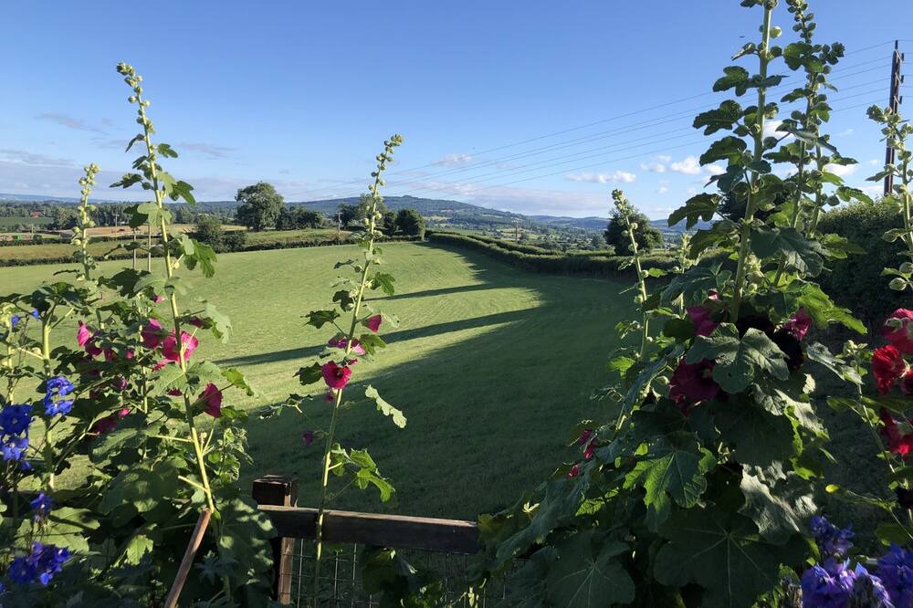 Photo of Others in Newent