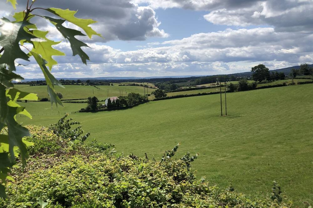 Photo of Others in Newent