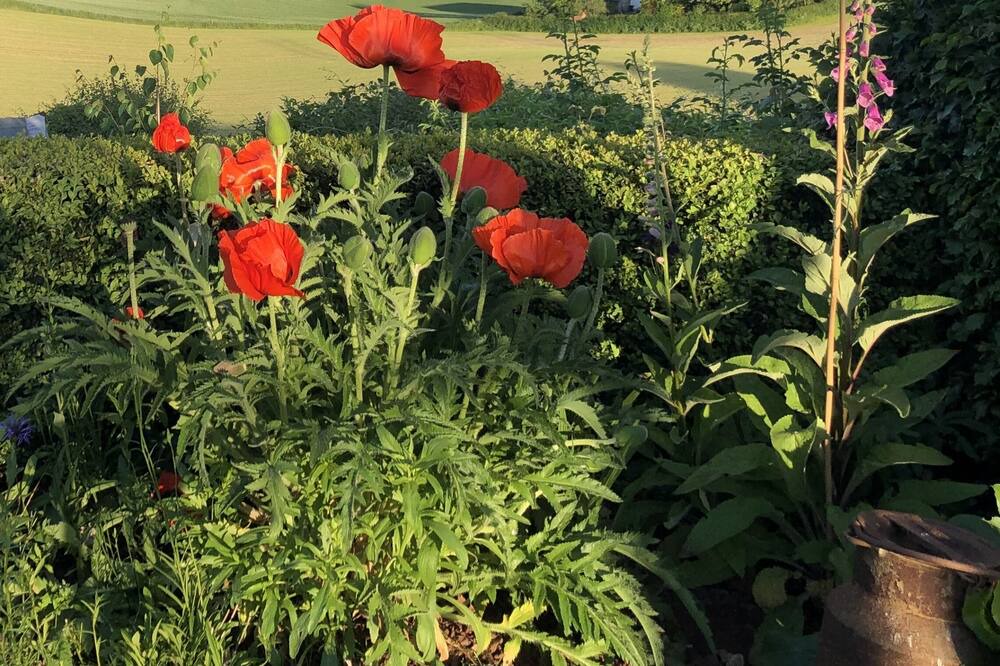 Photo of Others in Newent