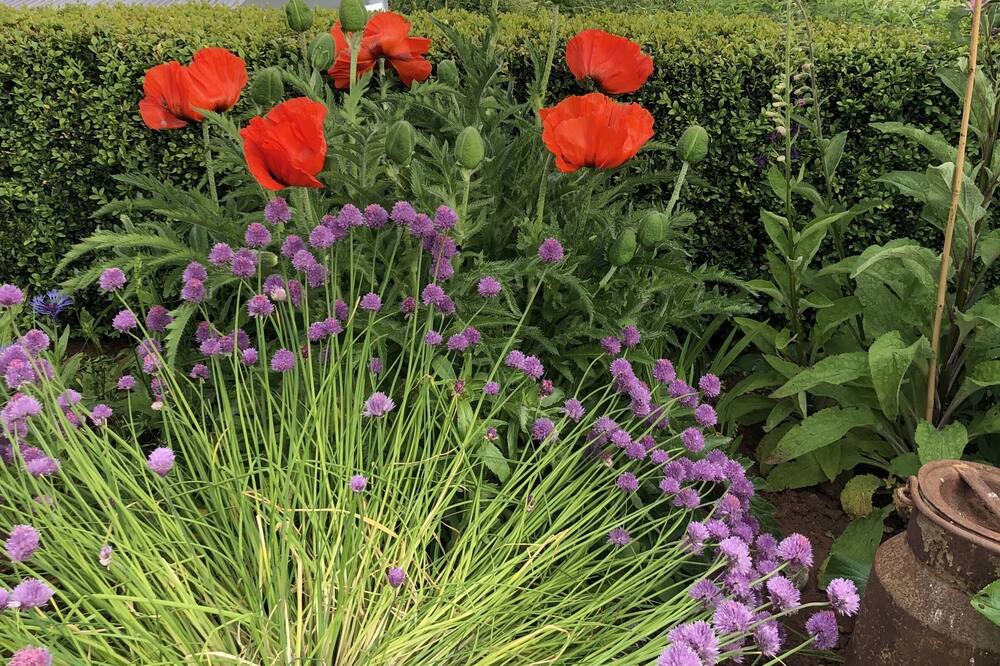 Photo of Others in Newent