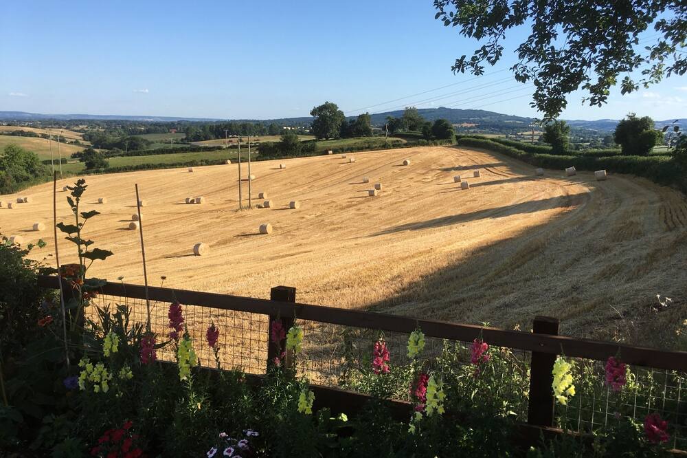 Photo of Others in Newent