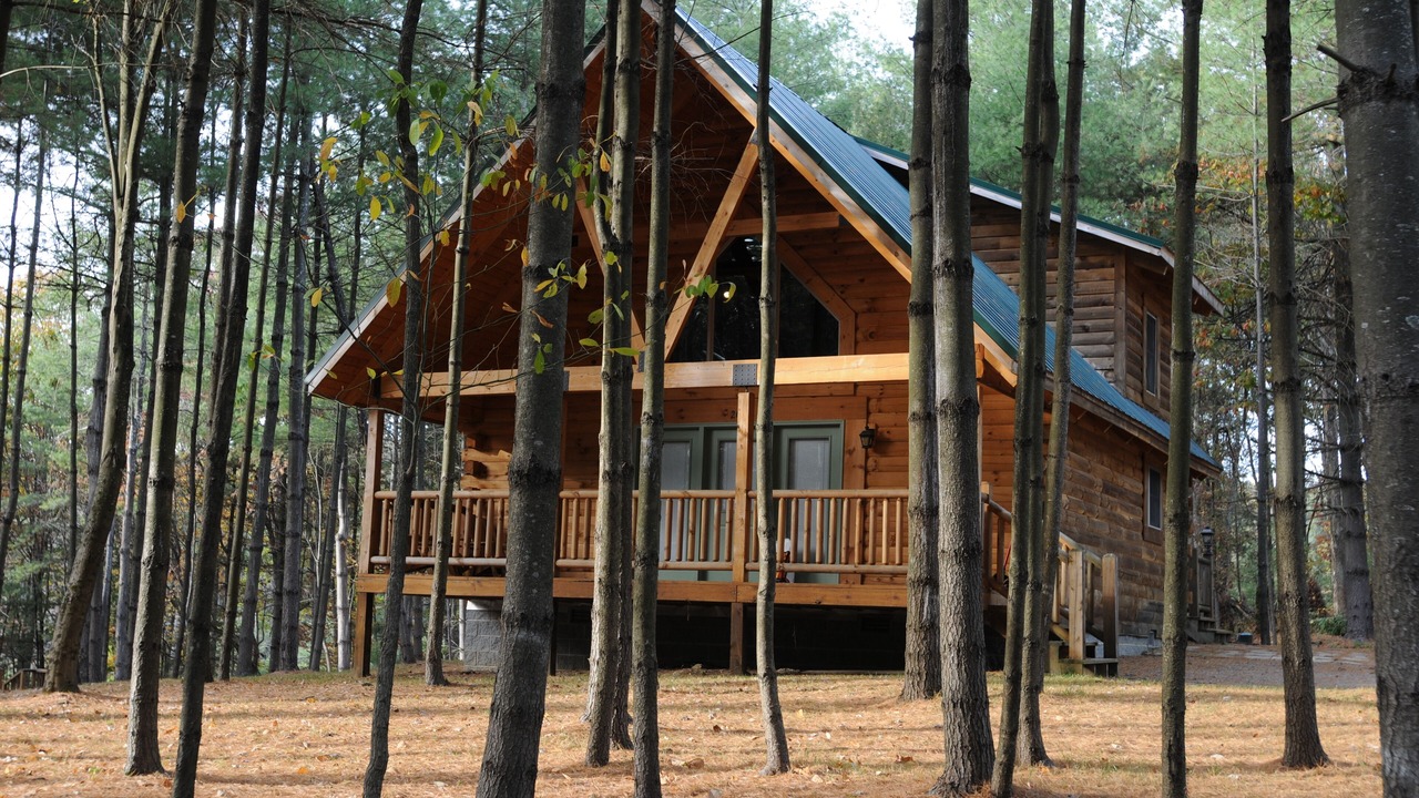 Photo of Outdoor in Blue Jay