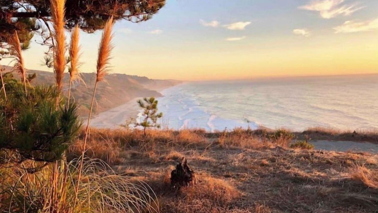 Photo of Outdoor in Half Moon Bay