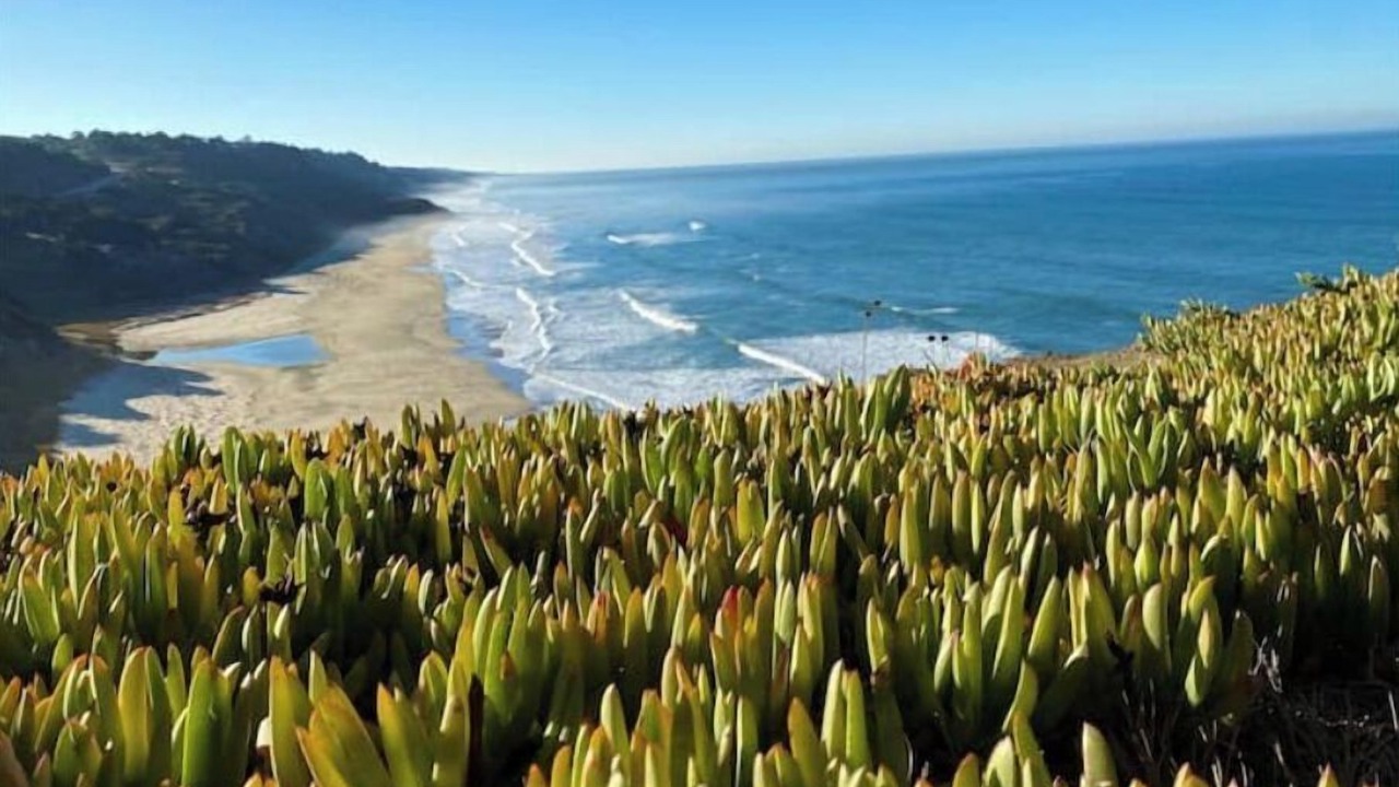 Photo of Others in Half Moon Bay