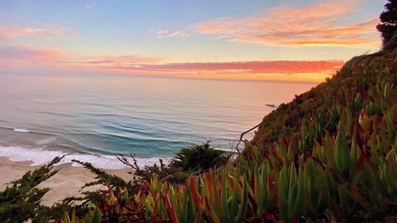 Photo of Others in Half Moon Bay