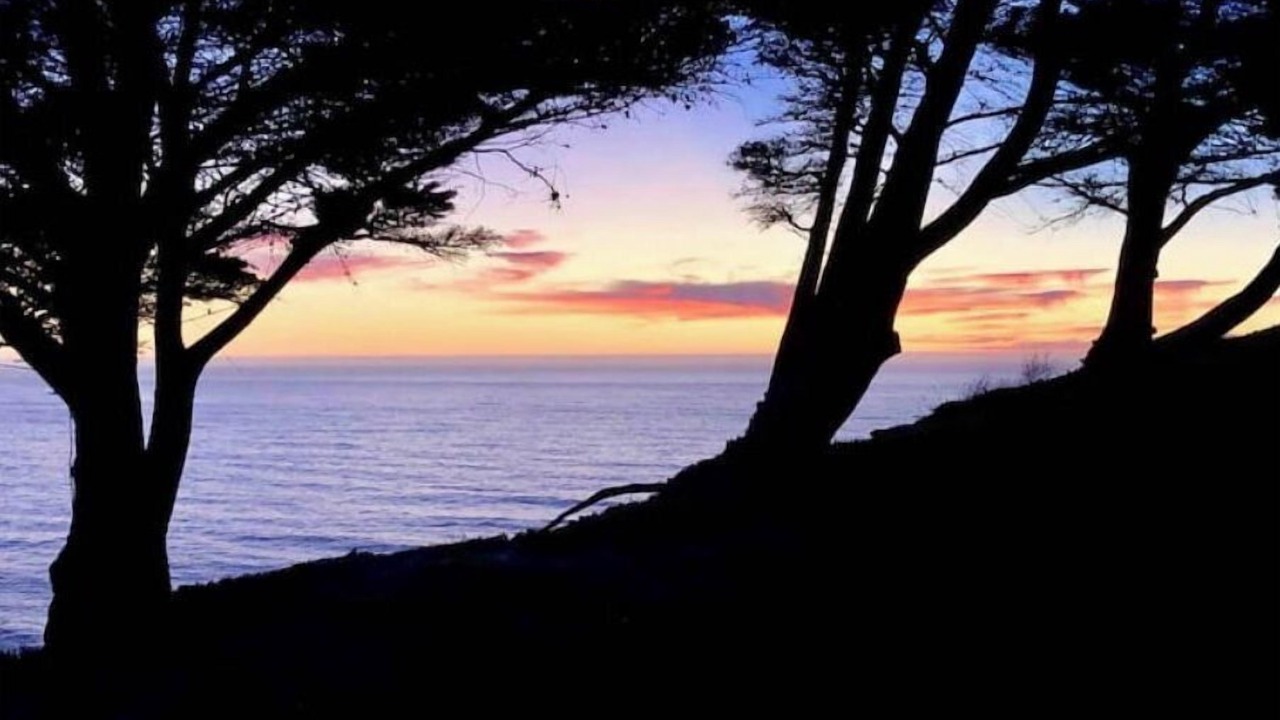 Photo of Others in Half Moon Bay