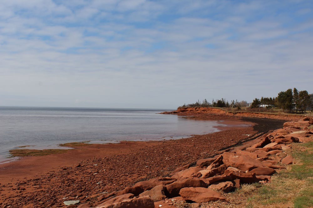 Photo of Others in Belfast