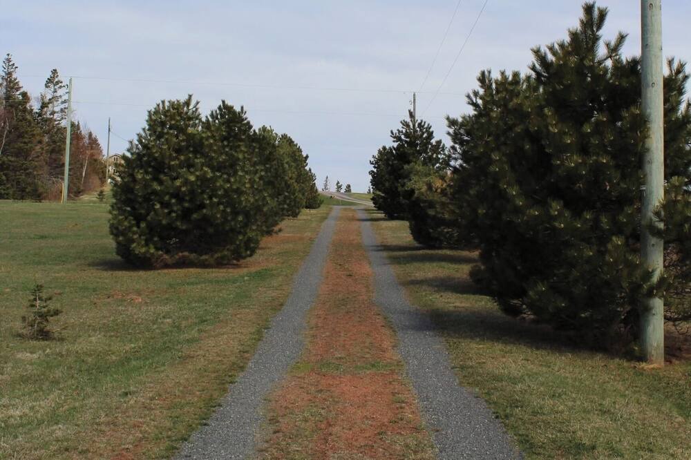 Photo of Outdoor in Belfast
