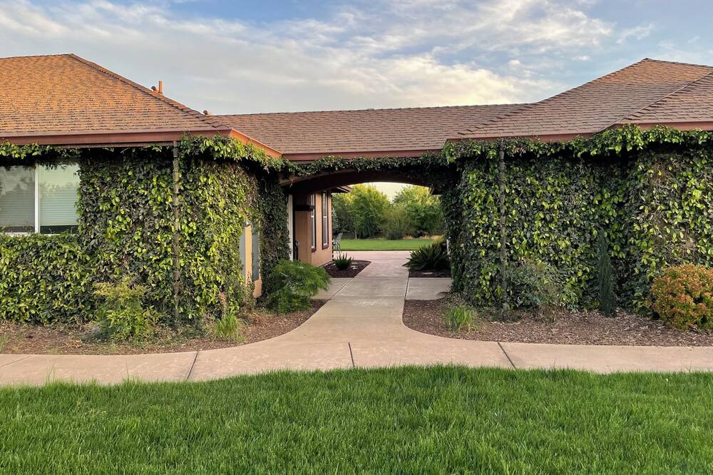 Photo of Outdoor in Peters