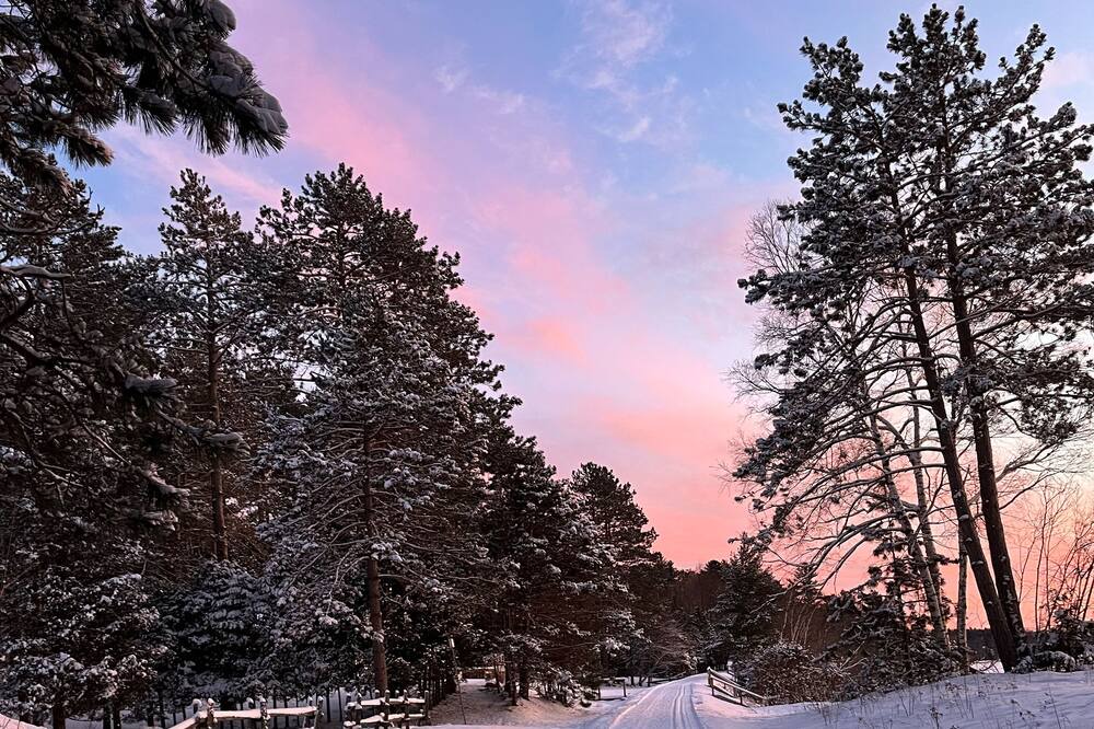 Photo of Others in Newport