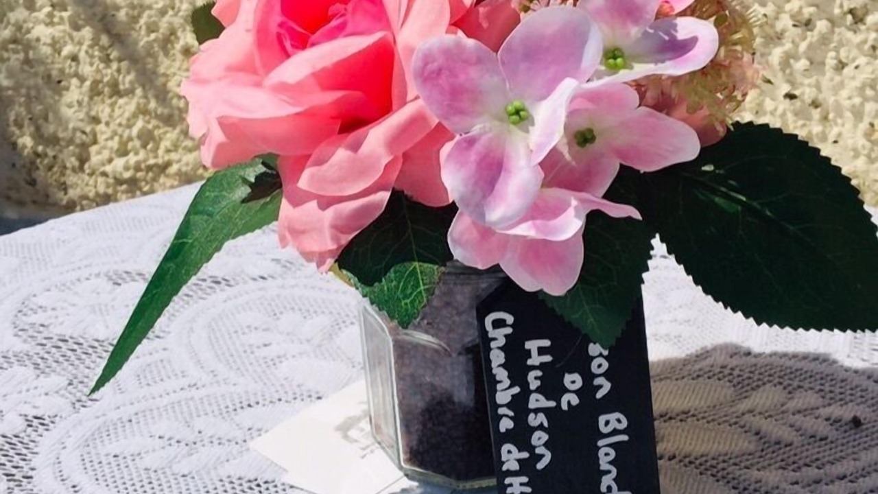 Photo of Outdoor in Cussac