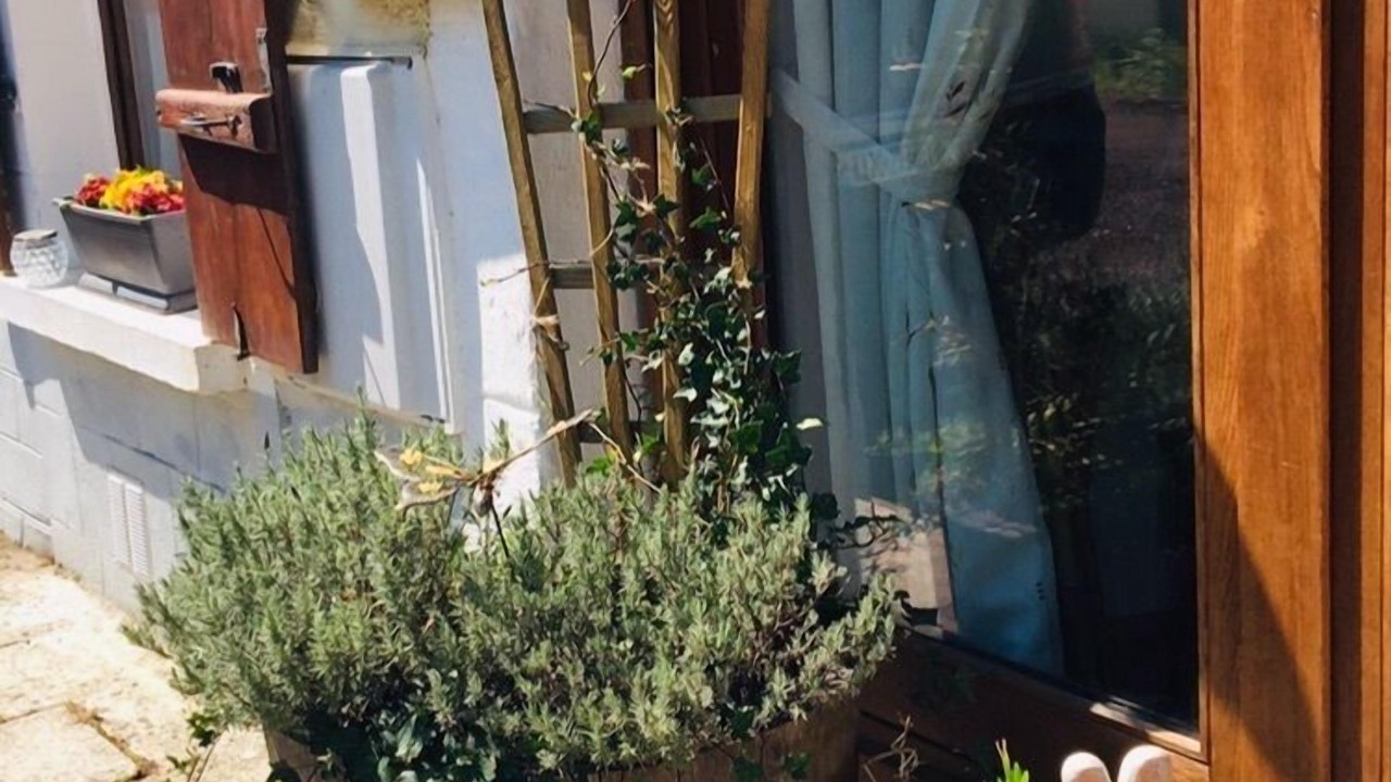 Photo of Outdoor in Cussac