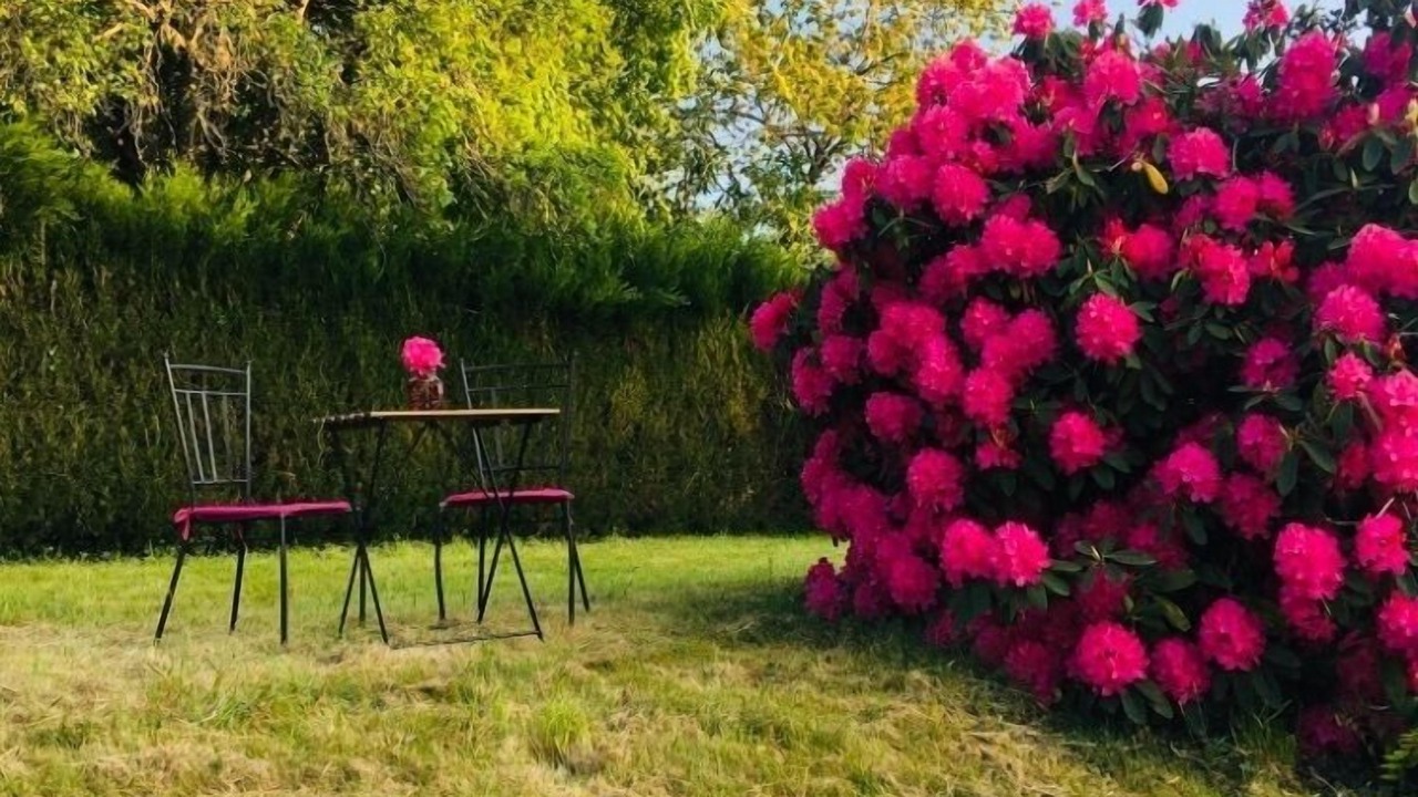 Photo of Outdoor in Cussac