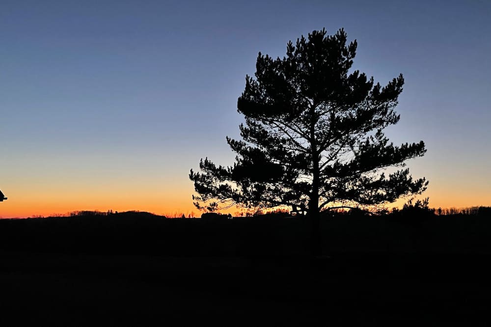 Photo of Others in Douro-Dummer