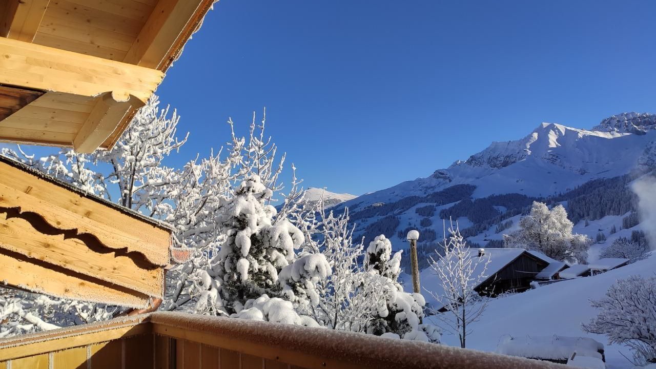 Photo of Patio Balcony in Adelboden