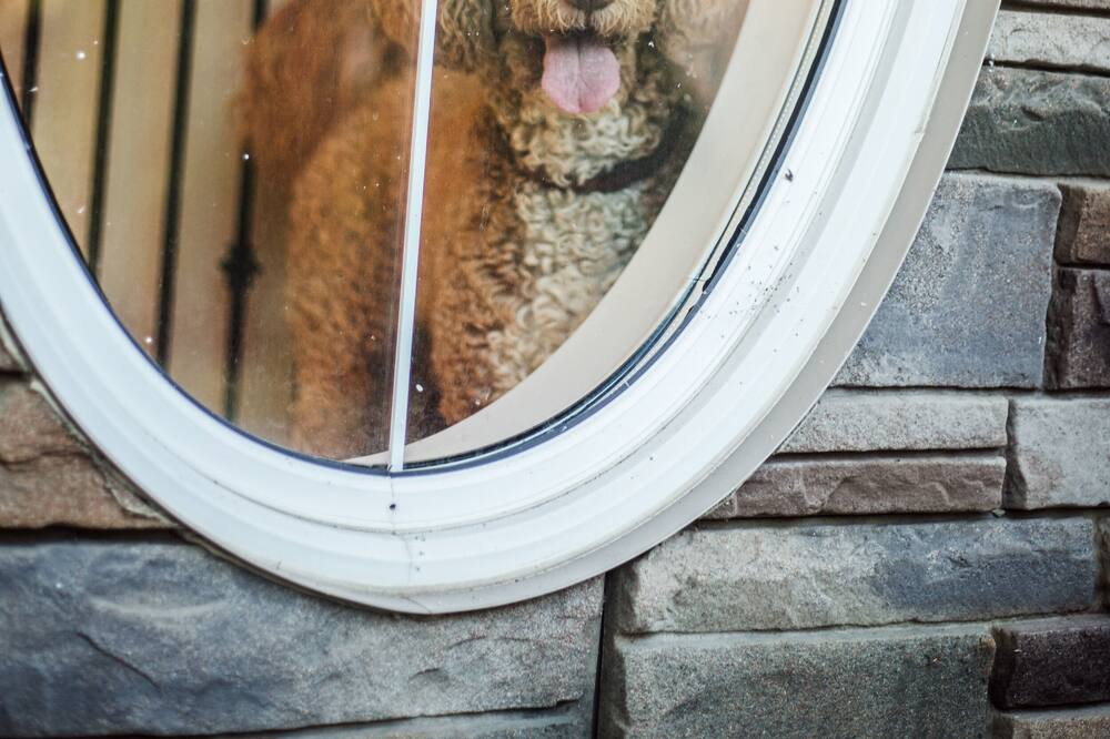Photo of Others in Orillia
