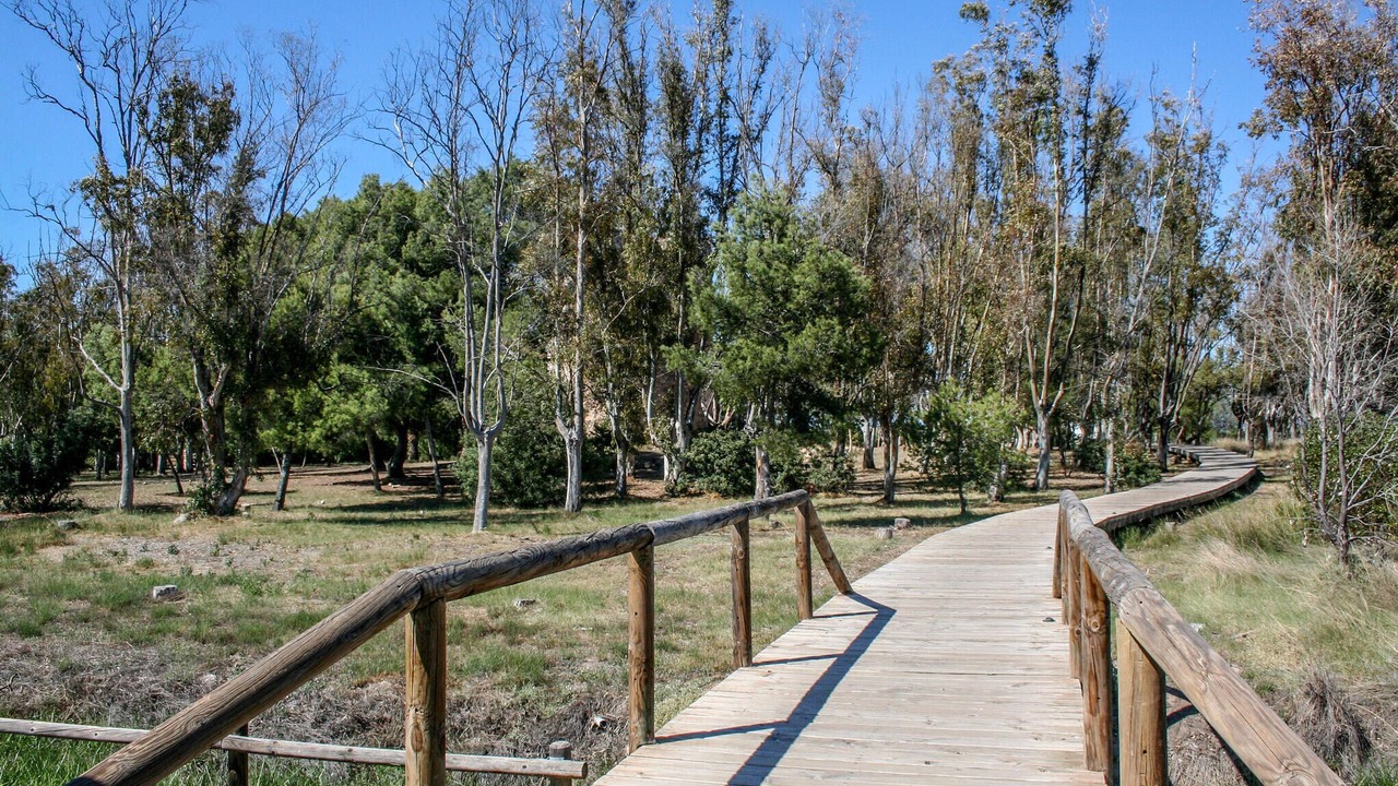 Photo of Outdoor in Cabanes