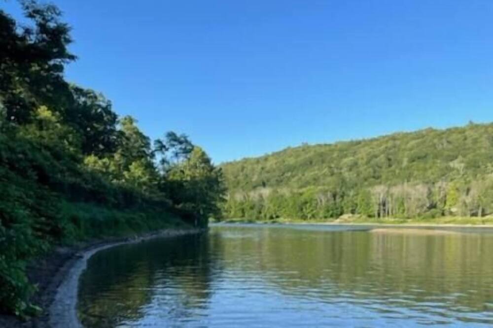 Photo of Others in Pond Eddy