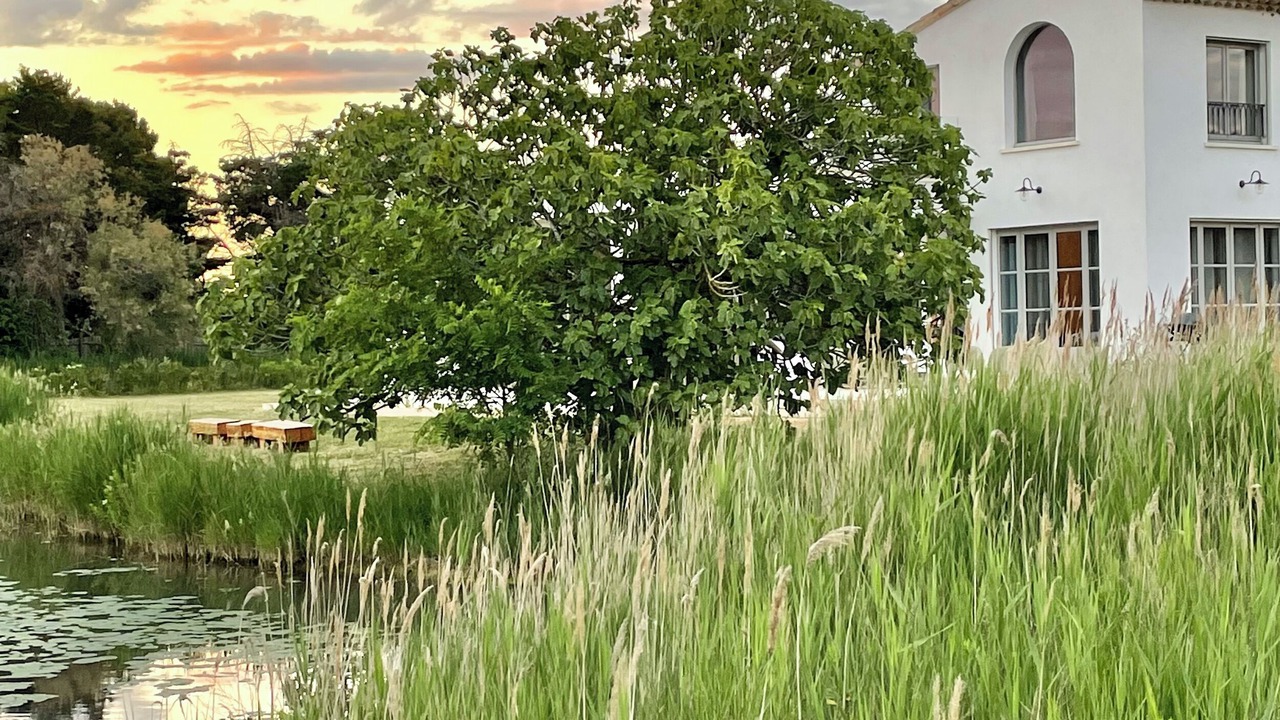 Photo of Outdoor in Saintes-Maries-de-la-Mer