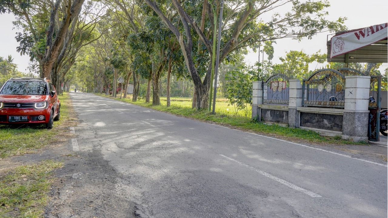 Photo of Outdoor in Rogojampi