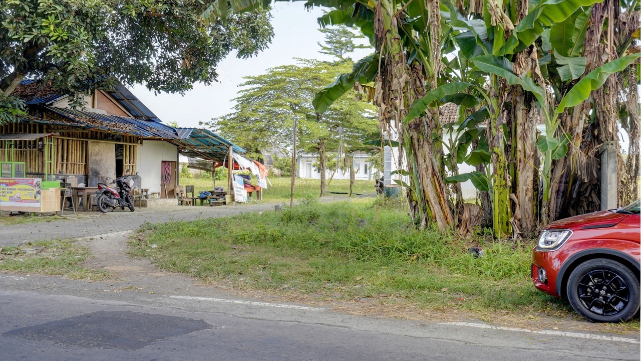 Photo of Outdoor in Rogojampi