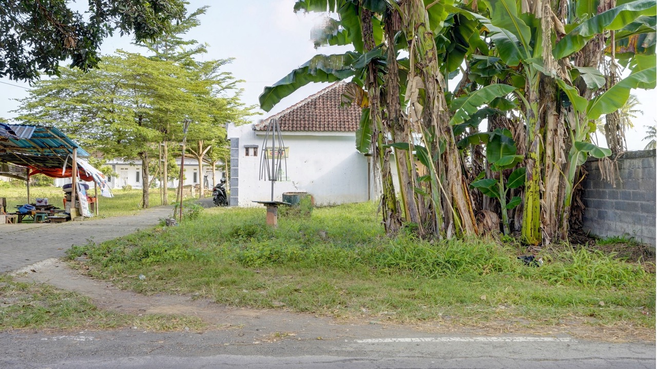 Photo of Outdoor in Rogojampi