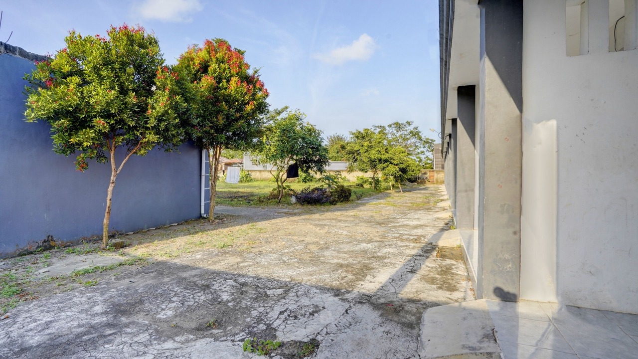 Photo of Others in Rogojampi