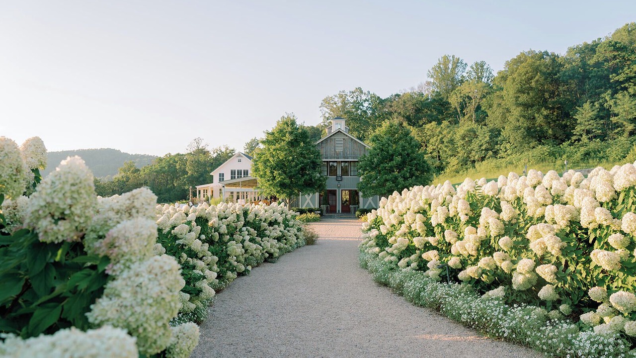 Photo of Others in North Garden