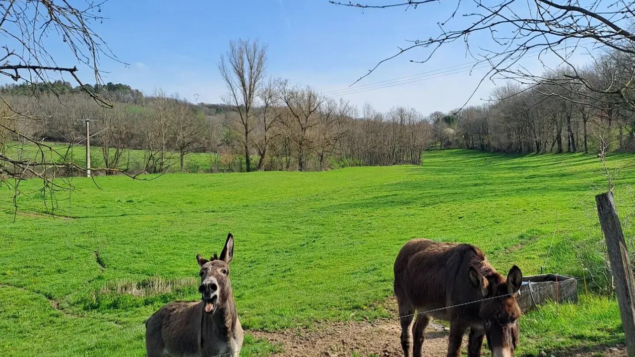 Photo of Outdoor in Le Garric