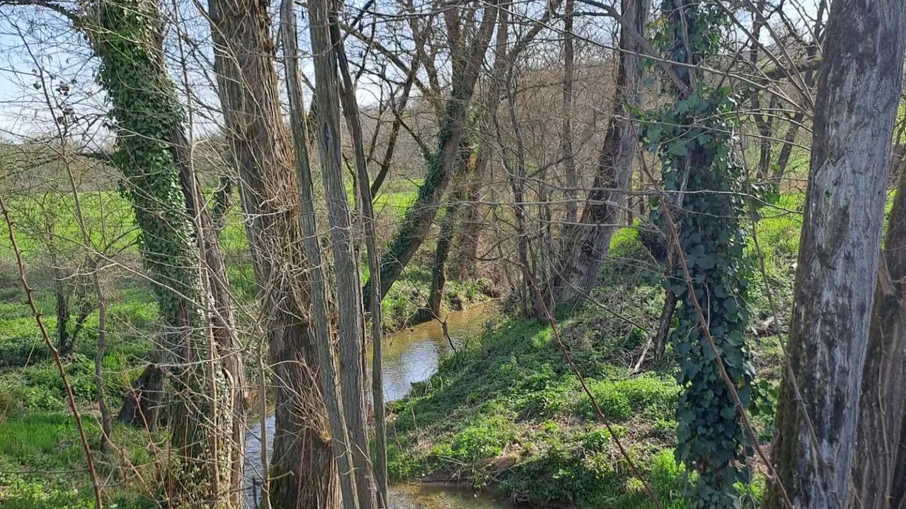 Photo of Others in Le Garric