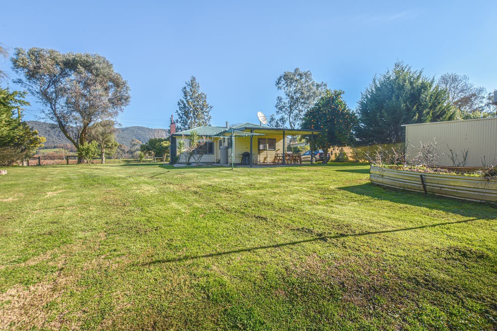 Photo of Others in Ovens