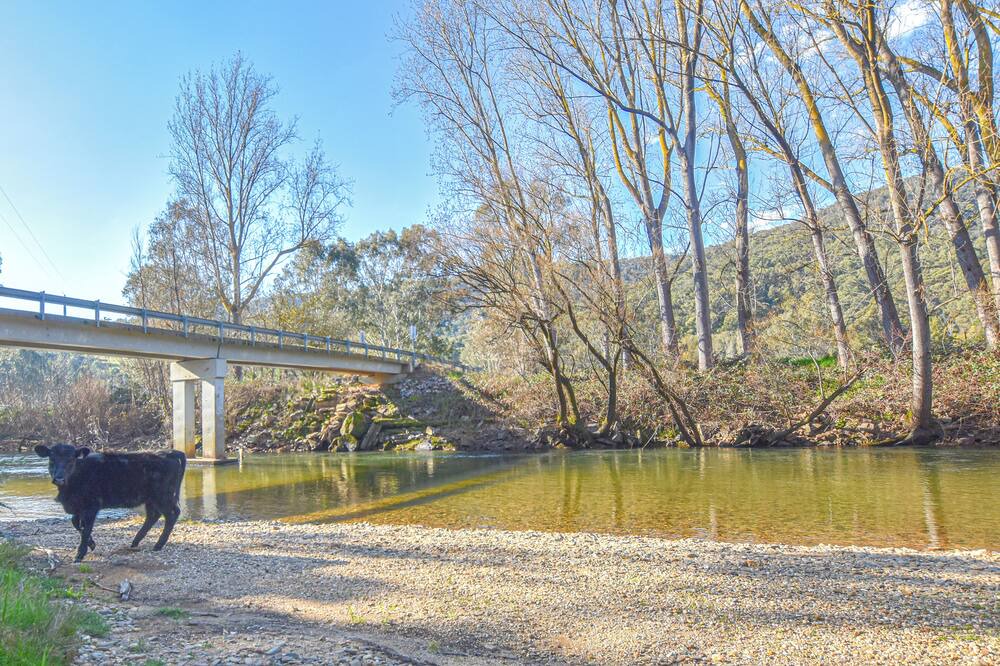 Photo of Others in Ovens