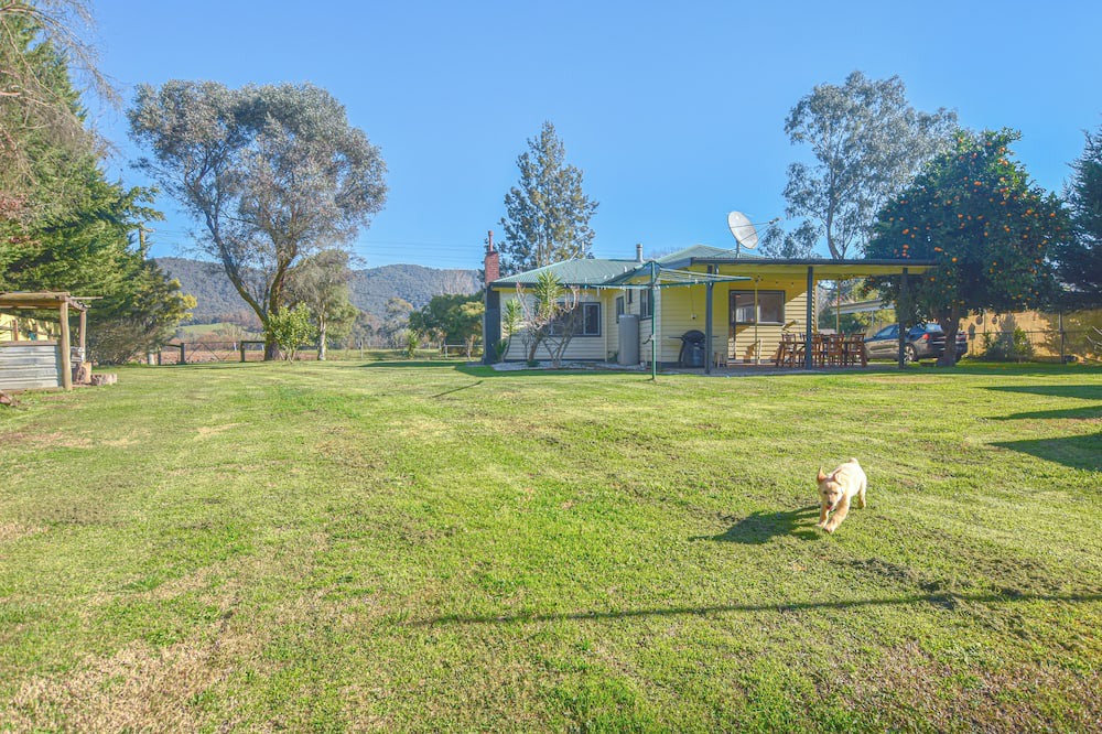 Photo of Others in Ovens