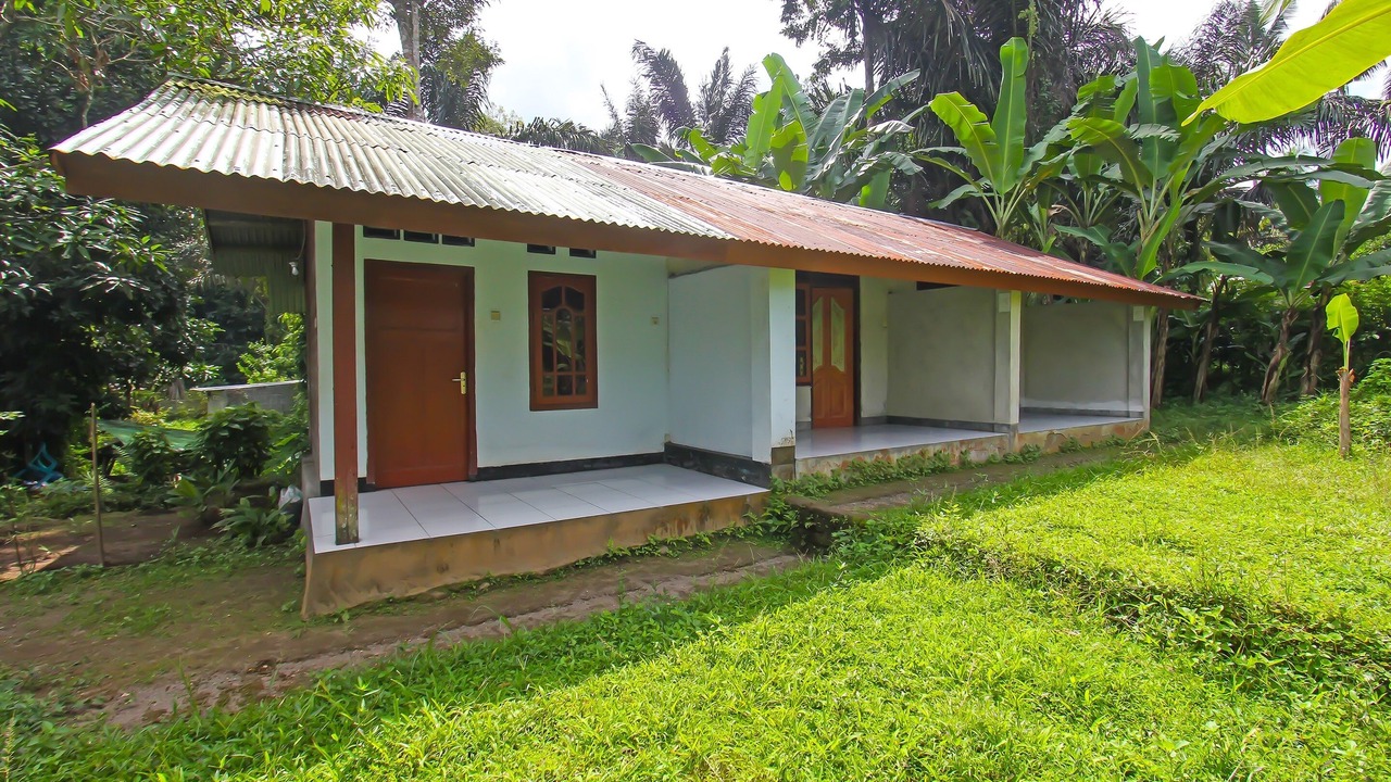 Photo of Outdoor in Selong Belanak