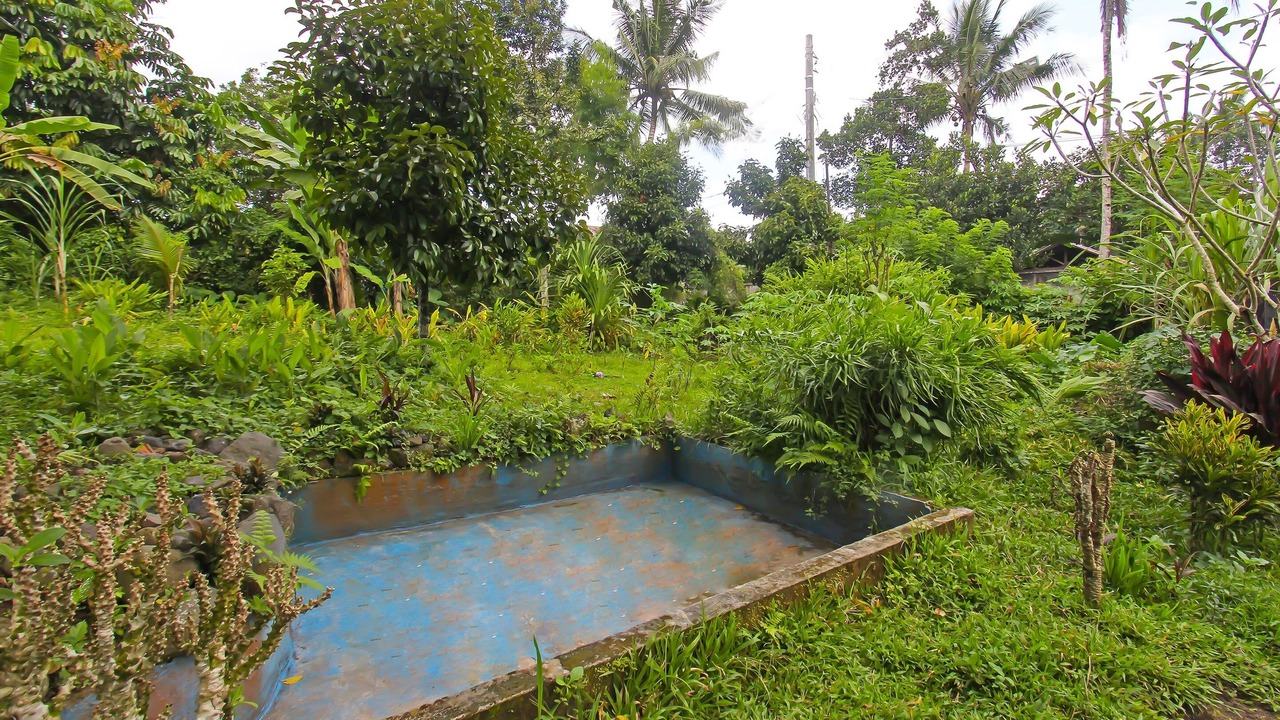 Photo of Others in Selong Belanak
