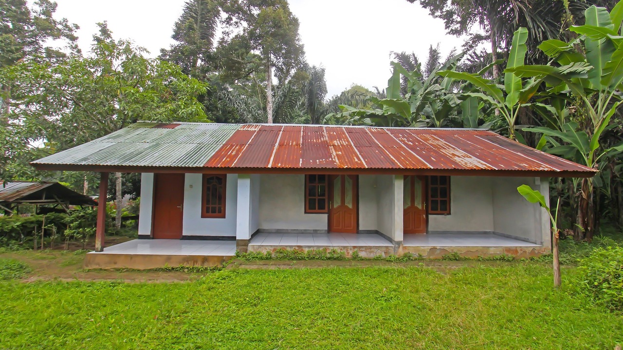 Photo of Outdoor in Selong Belanak