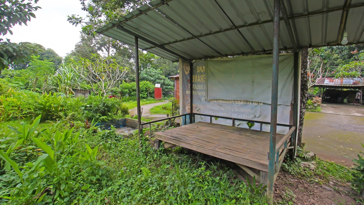 Photo of Others in Selong Belanak