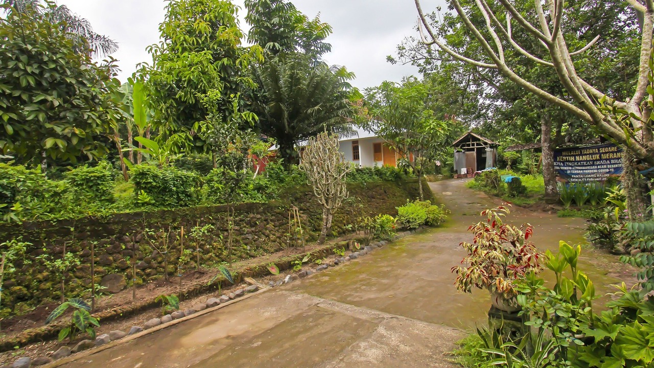 Photo of Others in Selong Belanak