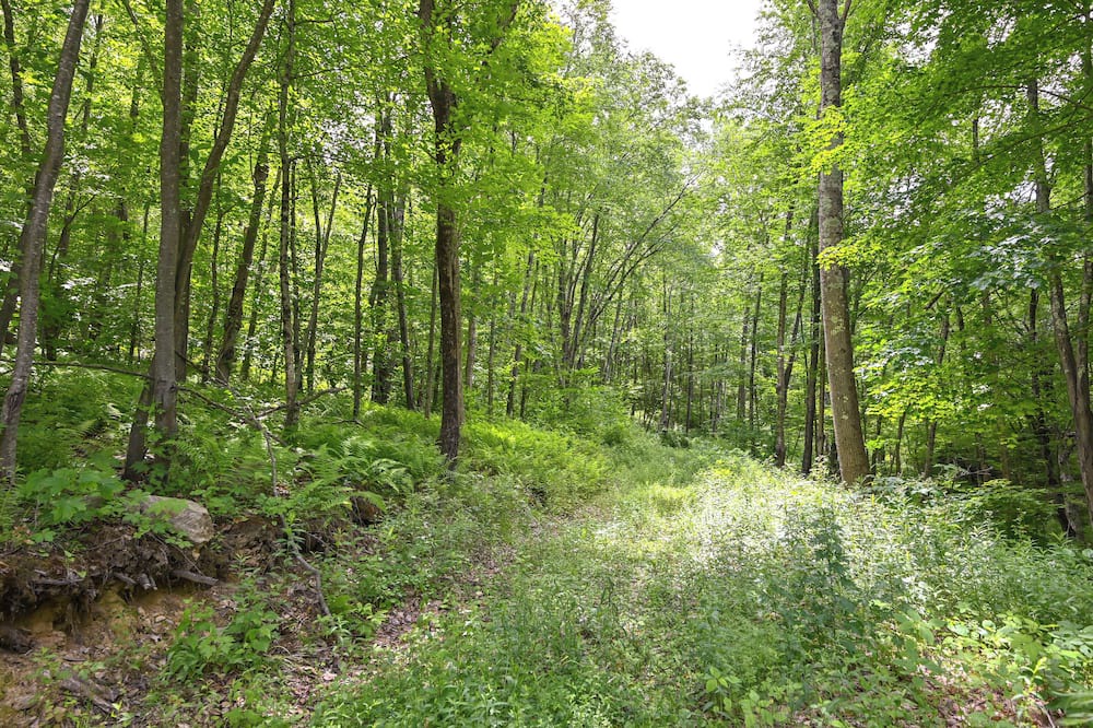 Photo of Others in Marble Dale