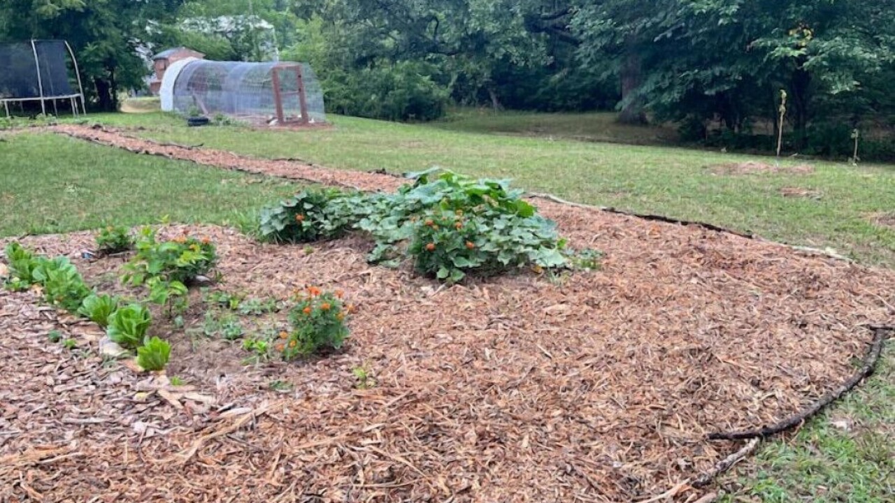 Photo of Outdoor in De Soto