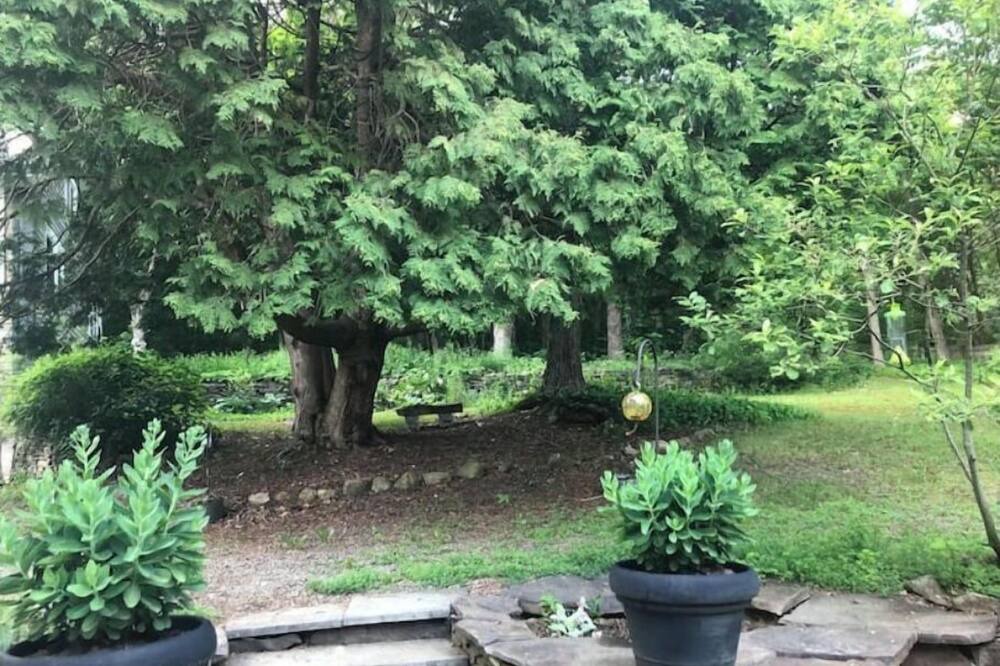Photo of Outdoor in Hammondsport