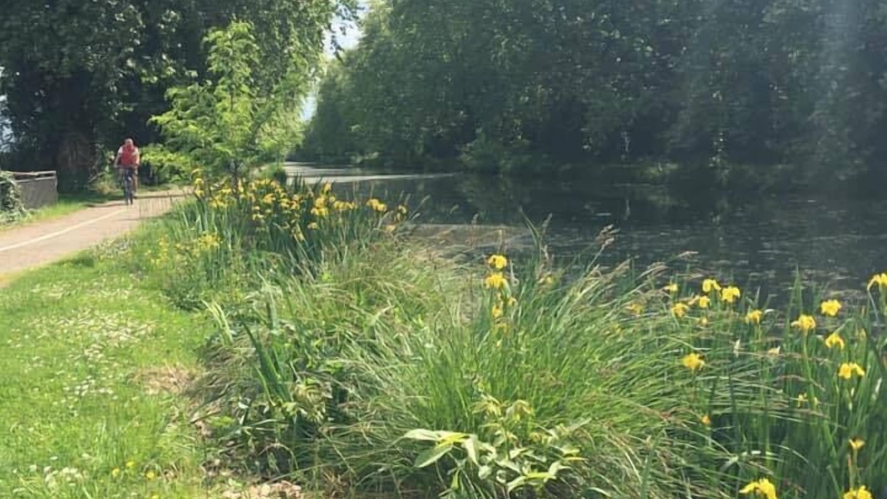 Photo of Outdoor in Puch-d'Agenais