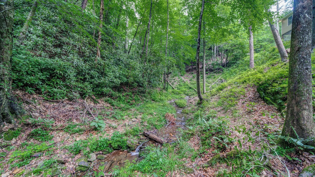 Photo of Outdoor in Foxfire Estates