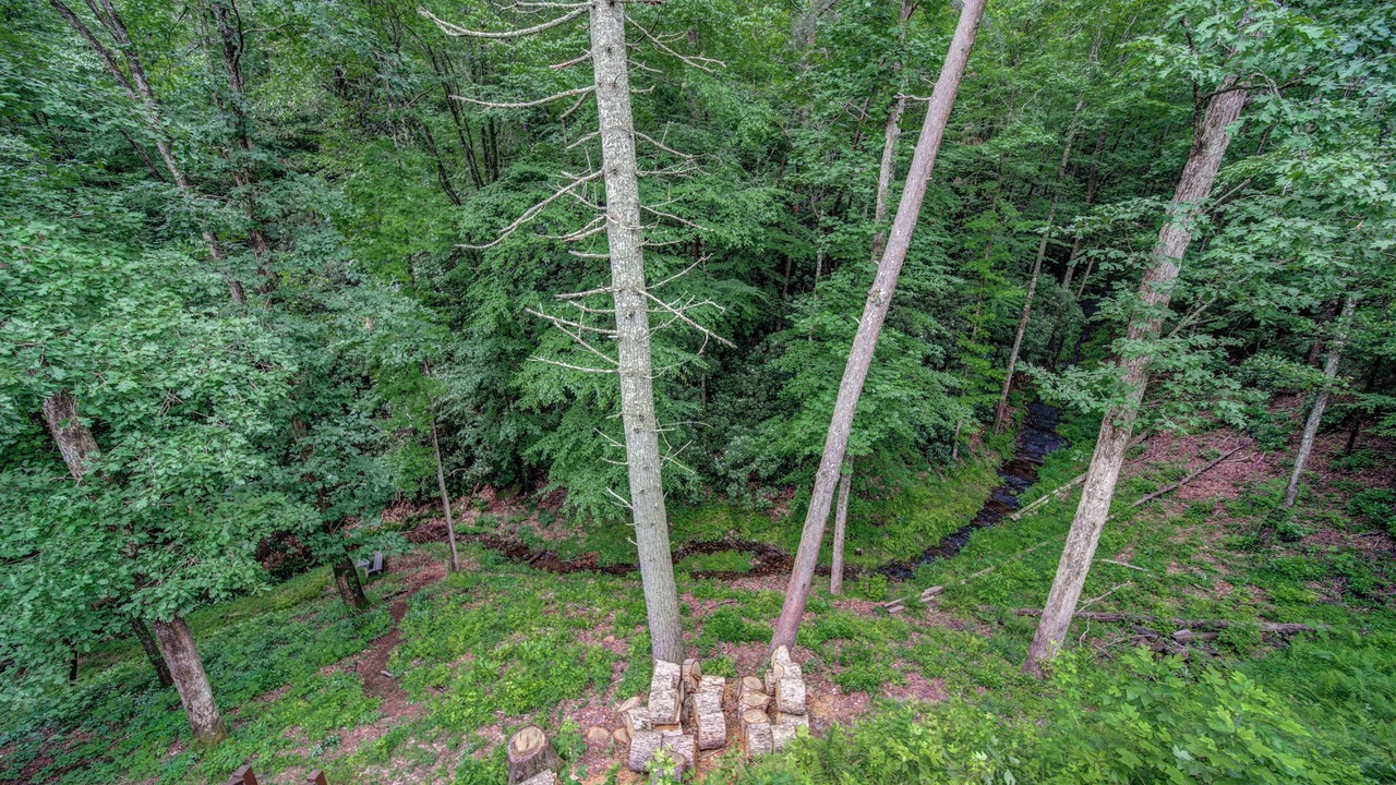 Photo of Outdoor in Foxfire Estates