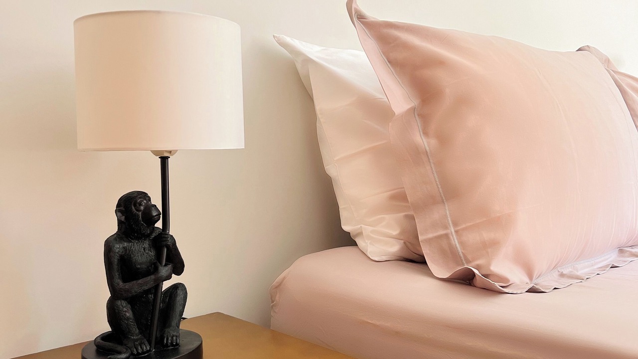 Photo of Others in Molosmes