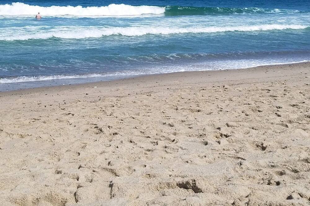 Photo of Others in Orleans